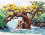 海南黄花梨什么品种好