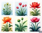 四个字植物的名字大全