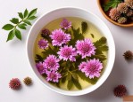 2025年三七花泡水喝好吗