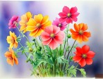 哪些花有毒家里不能养