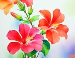 喇叭花可以比喻成什么