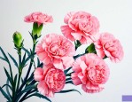 康乃馨和什么花比较像