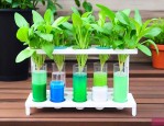 水培植物营养液的配方
