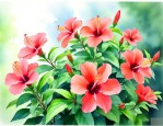 广州夏天适合养什么花