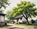 2025年屋后种槐树与风水