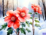 冬天开什么花最常见的