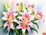 食用百合花是什么颜色