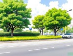 2025年路边常见的绿化树