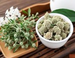 好的三七花多少钱一斤