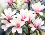 30公分的广玉兰价格