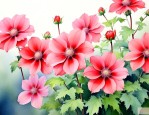 好养的开花的花有哪些品种