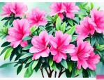杜鹃花夏天可以修剪吗