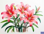 百合花的根有什么用处