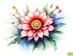 时钟花的寓意