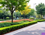 2025年路旁绿化树木品种