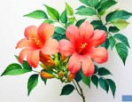 凌霄花小苗几年能开花