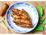 金蝉花可以直接食用吗