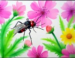家里有花蚊子怎么消灭
