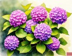 2025年绣球花是吉祥花吗