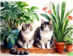 养猫家庭适合养的植物