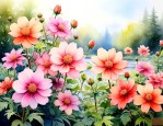 四季都开花的花有哪些