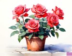 盆栽月季花冬天怎么养
