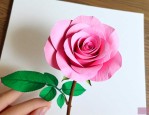 怎么用卫生纸叠玫瑰花