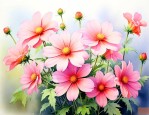 什么花一个月可以开花
