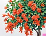 2025年炮仗花又名什么花