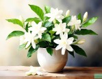 茉莉花适合室内养殖吗