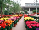 西安花卉市场哪个最大