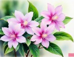 重楼一枝花七叶一枝花