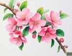 海棠花花语是什么意思