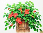 爬山虎怎么种植长得快