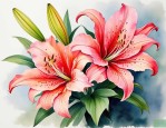 2025年关于百合花的特点