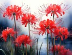 彼岸花的花语是什么意思