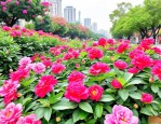 2025年广东广州鲜花预定