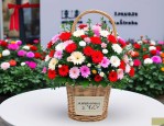 2025年石家庄订开业花篮