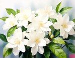 茉莉花有什么禁忌风水