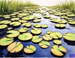 2025年浮叶植物种植方法
