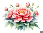 大勋花的花语
