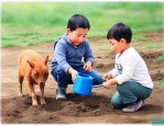 玉树养殖方法和浇水方法