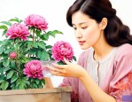 女人喝三七花有好处吗