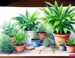 哪种植物吸甲醛比较好