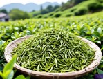 2025年花茶的种类及价格