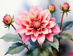 12月25日的生辰花