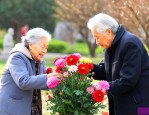 给老人扫墓买什么鲜花