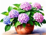 盆栽绣球花的养殖方法
