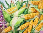 2023十大品牌玉米种