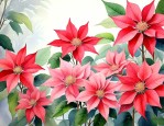 一品红花语和寓意象征